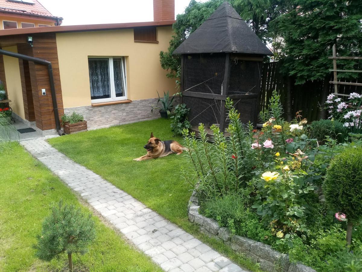 Agroturystyka U Agaty Хенціни Екстер'єр фото
